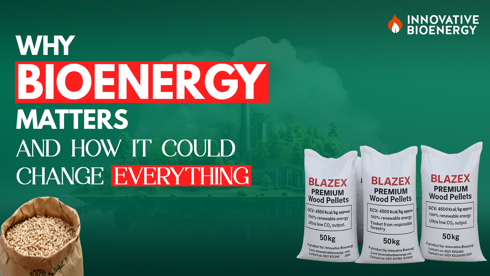 Why Bioenergy Matters – and How it Could Change Everything
