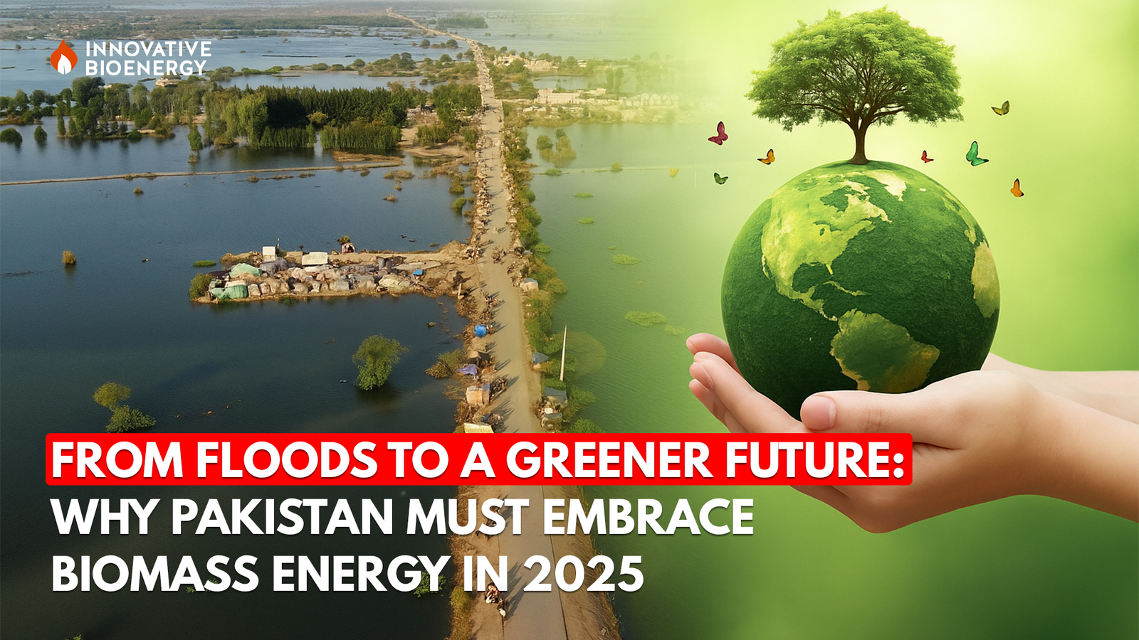 From Floods to a Greener Future: Why Pakistan Must Embrace Biomass Energy in 2025